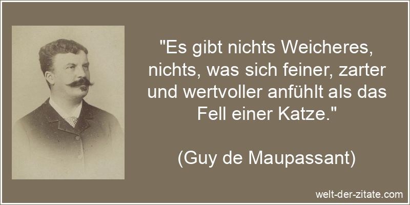 Es gibt nichts Weicheres, nichts, was sich feiner, zarter und