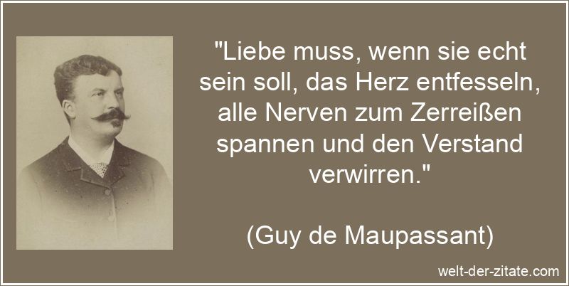 Liebe muss, wenn sie echt sein soll, das Herz entfesseln, alle Nerven