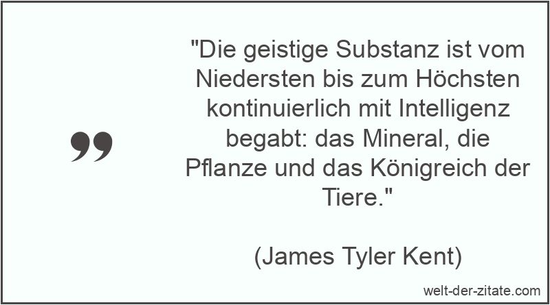 Die geistige Substanz ist vom Niedersten bis zum Höchsten