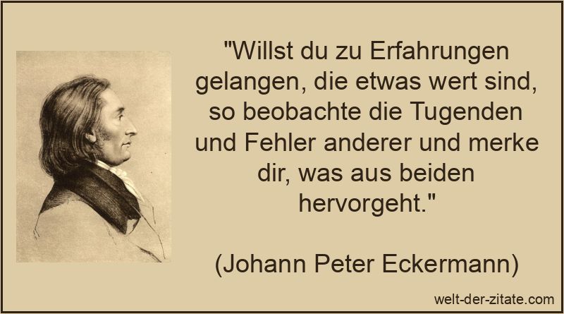 Willst du zu Erfahrungen gelangen, die etwas wert sind, so beobachte