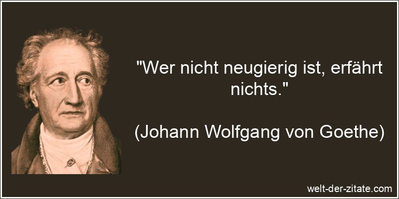 „Wer nicht neugierig ist, erfährt nichts.“ Wer nicht neugierig ist, erfährt nichts.