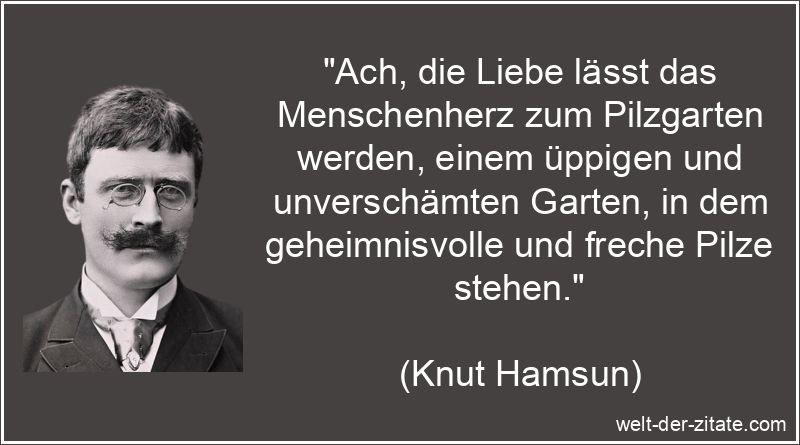 Ach, die Liebe lässt das Menschenherz zum Pilzgarten werden, einem