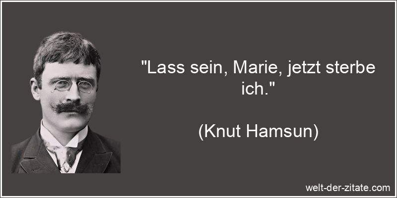 Lass sein, Marie, jetzt sterbe ich.