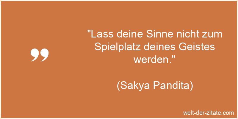 Lass deine Sinne nicht zum Spielplatz deines Geistes werden.