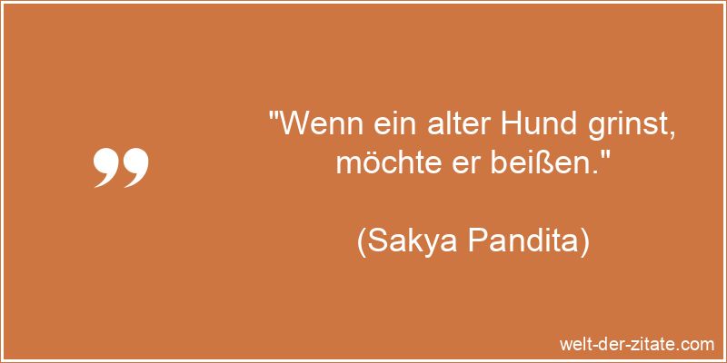 Wenn ein alter Hund grinst, möchte er beißen.
