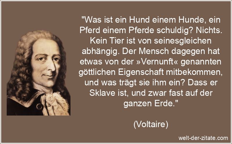 Was ist ein Hund einem Hunde, ein Pferd einem Pferde schuldig?