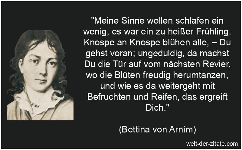 „Meine Sinne wollen schlafen ein wenig, es war ein zu heißer Frühling. Knospe an Knospe blühen alle, – Du gehst voran; ungeduldig, da machst Du die Tür auf vom nächsten Revier, wo die Blüten freudig herumtanzen, und wie es da weitergeht mit Befruchten und Reifen, das ergreift Dich.“ Meine Sinne wollen schlafen ein wenig, es war ein zu heißer