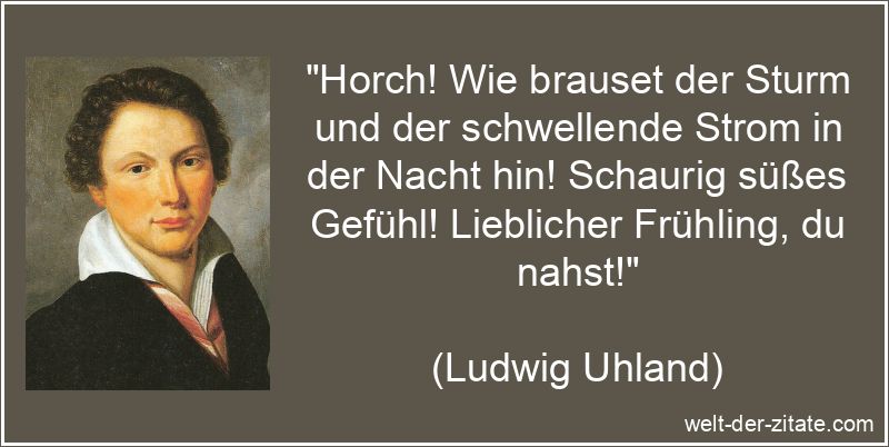 Horch! Wie brauset der Sturm und der schwellende Strom in der Nacht
