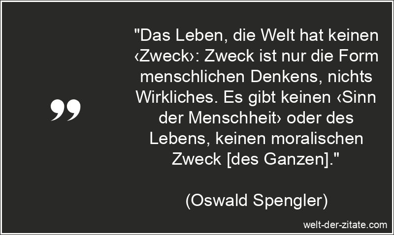 Das Leben, die Welt hat keinen ‹Zweck›: Zweck ist nur die Form