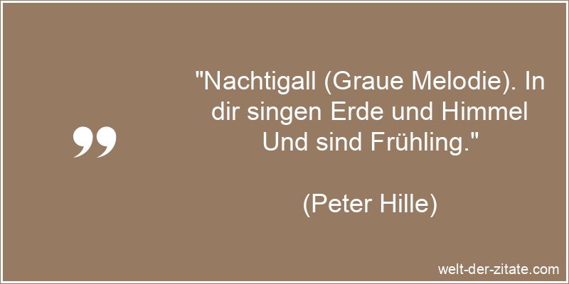 Nachtigall (Graue Melodie). In dir singen Erde und Himmel Und sind