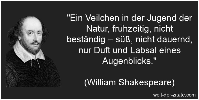 Ein Veilchen in der Jugend der Natur, frühzeitig, nicht beständig
